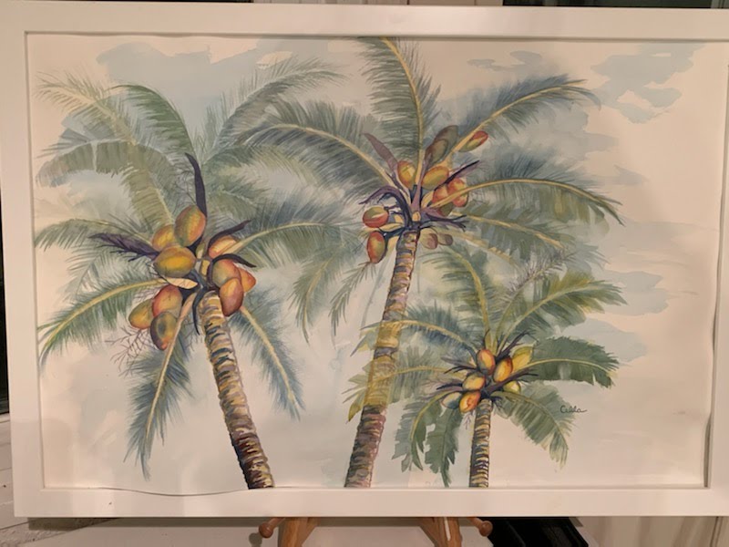 Palm Trees