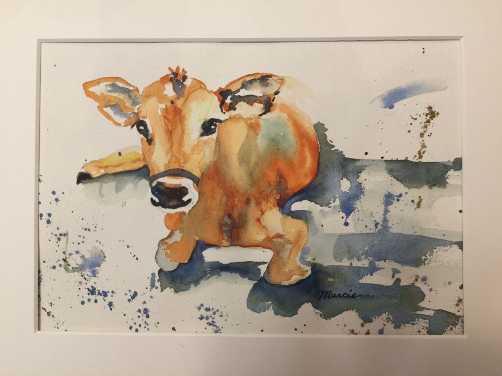 Marcie the calf