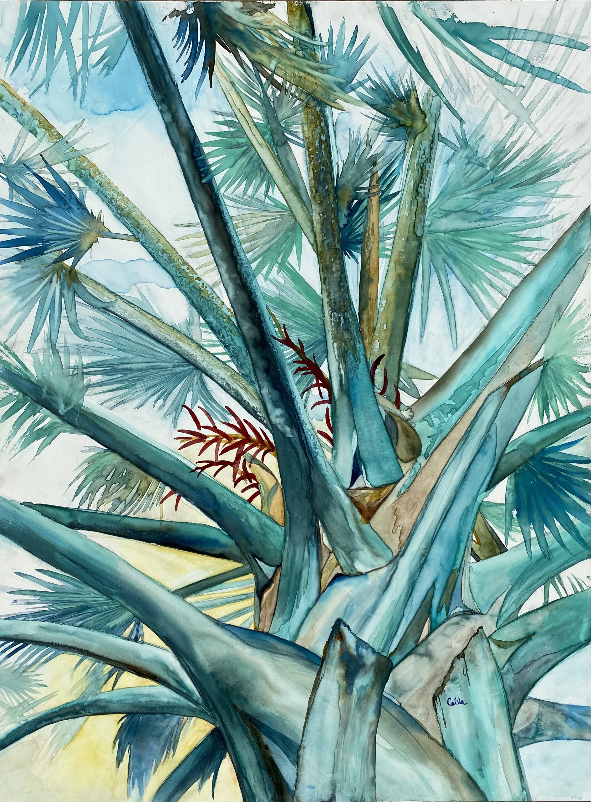 Bismark Palms at Sunset