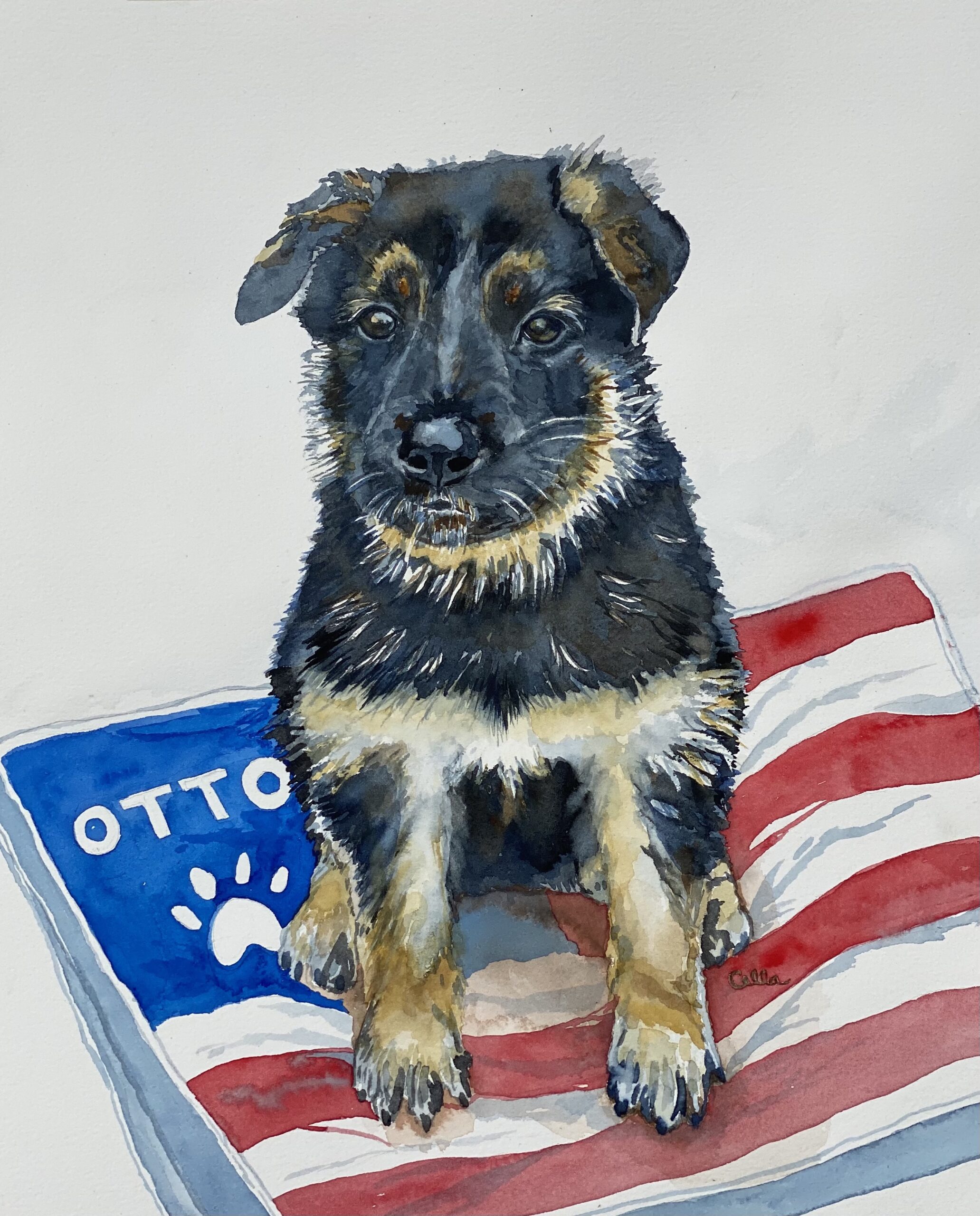 Otto puppy